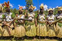 Keas Mama tribe women at sing-sing, Enga Show, Wabag, Western Highlands, Papua New Guinea