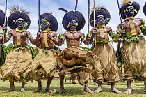 Lyain tribe men performing, Enga Show, Wabag, Western Highlands, Papua New Guinea