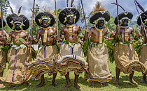 Lyain tribe men performing, Enga Show, Wabag, Western Highlands, Papua New Guinea