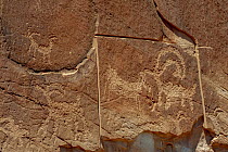 Petroglyphs, note attempt to remove it with power tool, Grand Staircase-Escalante National Monument, Utah