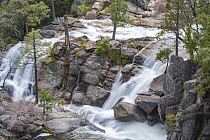 Spring run-off, Cascade Creek, Yosemite National Park, California