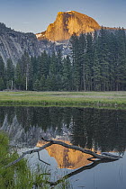 Granite peak reflected at sunset, Half Dome, Yosemite National Park, California
