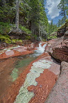 Creek, Red Rock Canyon, Waterton Lakes National Park, Alberta, Canada