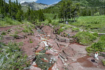 Tourists in creek, Red Rock Creek, Red Rock Canyon, Waterton Lakes National Park, Alberta, Canada