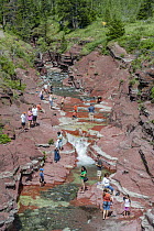 Tourists in creek, Red Rock Creek, Red Rock Canyon, Waterton Lakes National Park, Alberta, Canada