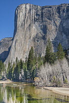 El Capitan and Merced River, Yosemite National Park, California