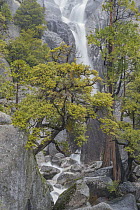 Spring run-off, Cascade Creek, Yosemite National Park, California