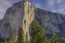 El Capitan, Yosemite National Park, California