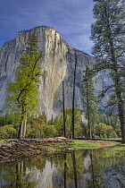 El Capitan, Merced River, Yosemite National Park, California