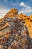 Sandstone rock formations, Theodore Roosevelt National Park, North Dakota