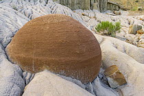 Round boulder, Theodore Roosevelt National Park, North Dakota