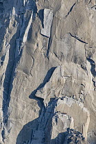 Climbers on granite cliff, El Capitan, Yosemite National Park, California