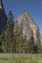 Lower Cathedral Rock, Yosemite National Park, California