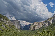 El Capitan, Bridal Veil Falls, Yosemite Valley, Yosemite National Park, California