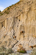 Round boulders, Theodore Roosevelt National Park, North Dakota