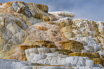 Travertine formations, Palette Spring, Mammoth Hot Springs, Yellowstone National Park, Wyoming