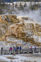 Tourists at travertine formations, Palette Spring, Mammoth Hot Springs, Yellowstone National Park, Wyoming