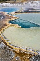 Hot spring, Doublet Pool, Upper Geyser Basin, Yellowstone National Park, Wyoming