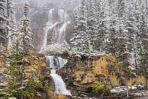 Waterfall after autumn snowfall, Tangle Creek Falls, Jasper National Park, Alberta, Canada