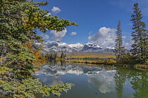 Talbot Lake, Jasper National Park, Alberta, Canada