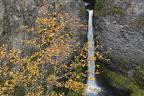 Spahat Falls, Spahats Creek, Wells Gray Provincial Park, British Columbia, Canada