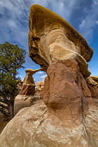 Rock formation, Metate Arch, Devil's Garden, Grand Staircase-Escalante National Monument, Utah