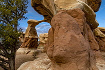 Rock formation, Metate Arch, Devil's Garden, Grand Staircase-Escalante National Monument, Utah