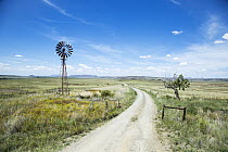 Windmill and pastures, Eastern Cape, South Africa