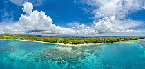 Aore Island, Espiritu Santo, Vanuatu, composite image