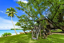 Tree house on coast, Port Orly, Espiritu Santo, Vanuatu