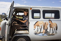 Przewalski's Horse (Equus ferus przewalskii) conservationist, Dalaitseren Sukhbaatar, in ranger car, Gobi Desert, Mongolia