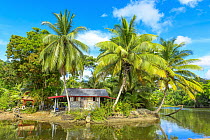 House on island, Trinidad and Tobago, Caribbean