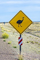 Lesser Rhea (Rhea pennata) road sign, Argentina