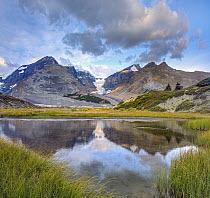 Mountains reflected in lake, Snow Dome, Dome Glacier, and Mount Kitchener, Columbia Icefield, Jasper National Park, Alberta, Canada