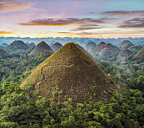 Chocolate Hills, limestone covered in grass reaching up to 164 feet high, Bohol Island, Philippines