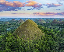 Chocolate Hills, limestone covered in grass reaching up to 164 feet high, Bohol Island, Philippines