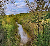 River, Ozark-Saint Francis National Forest, Arkansas