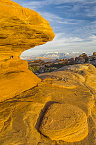 Sandstone rock formations, La Sal Mountains, Arches National Park, Utah