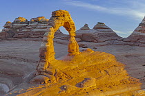 Delicate Arch at sunrise, Arches National Park, Utah