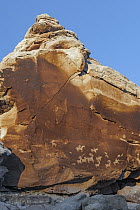Ute rock art, Arches National Park, Utah