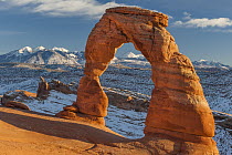 Delicate Arch and the La Sal Mountains, Arches National Park, Utah