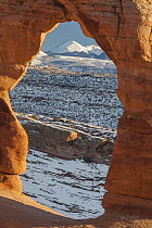 La Sal Mountiains through Delicate Arch, Arches National Park, Utah