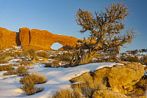 North Window arch in winter, Arches National Park, Utah