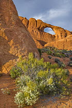 Skyline Arch, Arches National Park, Utah