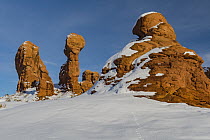 Rabbit tracks and formations in winter, Garden of Eden, Arches National Park, Utah