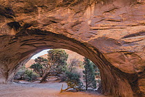 Navajo Arch, Arches National Park, Utah