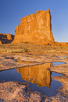 The Organ reflected in pool, Arches National Park, Utah
