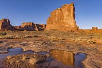 The Organ reflected in pool, Arches National Park, Utah
