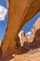 Tower Arch, Arches National Park, Utah