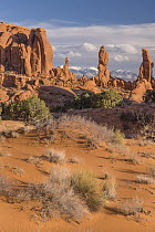 Marching Men formation, Arches National Park, Utah